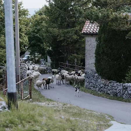 Casa Juricevi Appartamento Vela Ucka